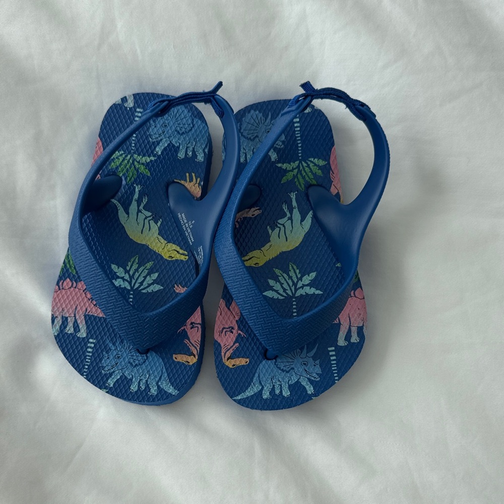 Kids Blue Dinosaur Print Flip Flop Sandals